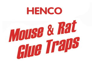 義烏市綠亞日用品廠 打造優質日用品百貨的可靠供應商